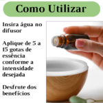 Essência Difusor Aromatizador Ambiente Umidificador Ar Kit 3 Kit N.04