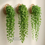 Arranjo c/ 3 Trepadeira Folha de HERA + Vaso Trançado Marrom